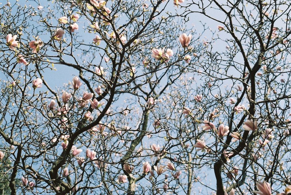 Karnevalska izvođačica u crveno-bijeloj nošnji